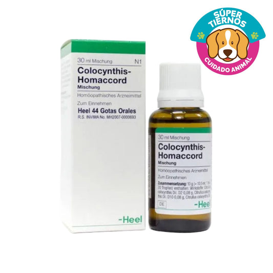 COLOCYNTHIS HOMACCORD GOTAS 30 ML